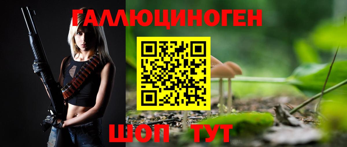 Псилоцибиновые грибы ЛСД  Псилоцибиновые грибы GOLDEN TEACHER  Вход с VPN  Осинники 