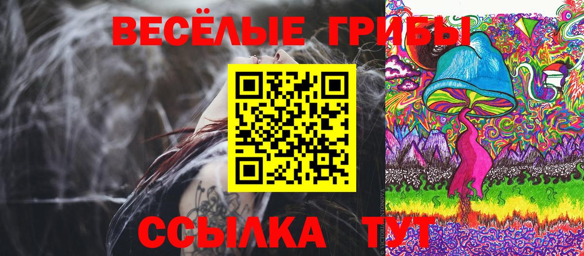 Псилоцибиновые грибы Psilocybe Осинники